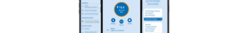 go-e Charger App auf Deutsch