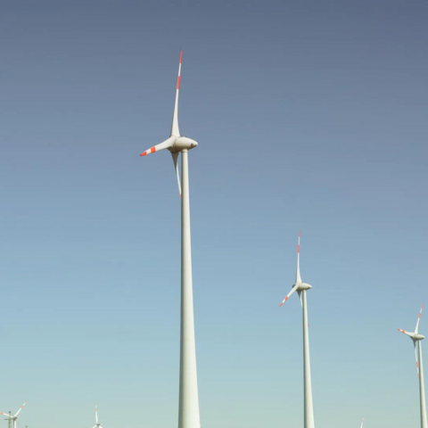 Wind mill farm power turbine producing renewable energy