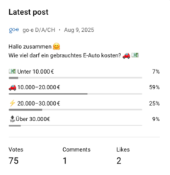 Youtube Umfrage über den Preis eines gebrauchten E-Autos.